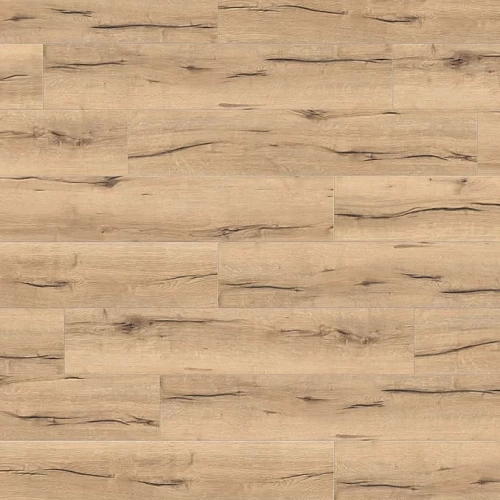 ДУБ ИТАЛИКА КРЕМ ЛАМИНАТ  HARO  TRITTY 100 CAMPUS ламинат для пола